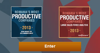 Romania's most productive companies 2013